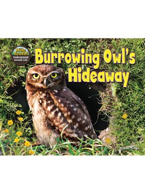 cover image of Burrowing Owl's Hideaway